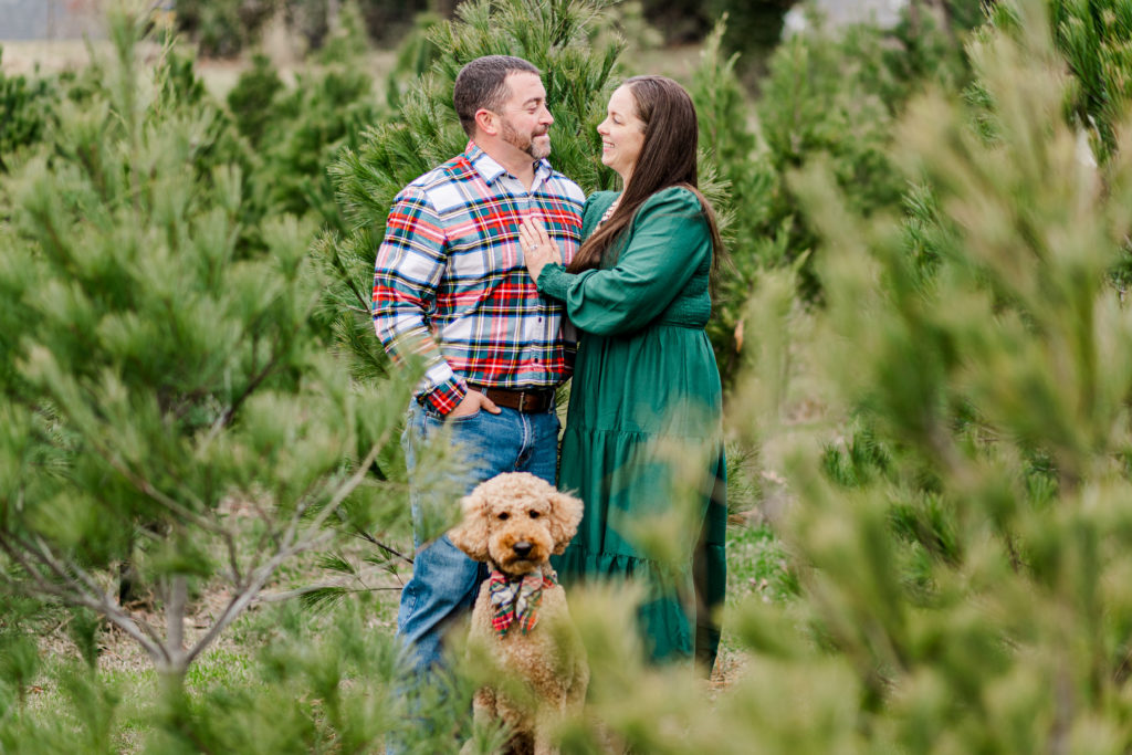 Christmas family session