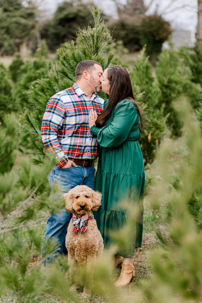 Christmas family session