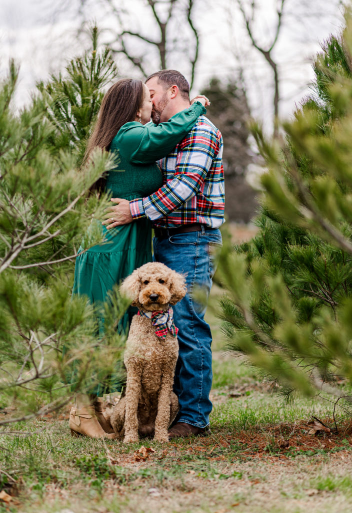 Christmas family session with goldendoodle