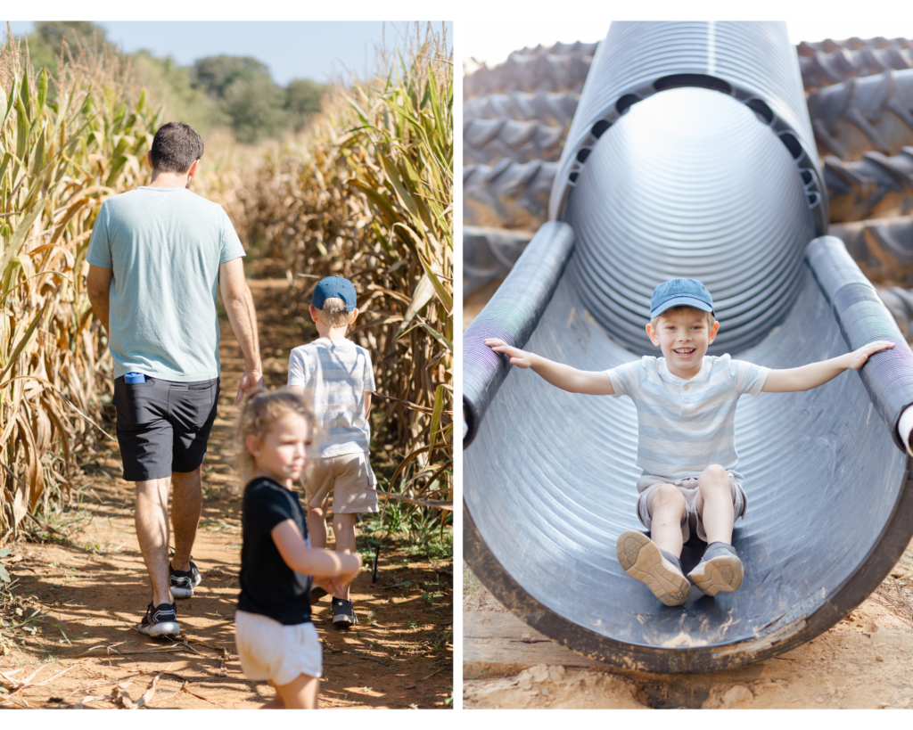 A photo collage of a father and son walking in the corn field and that same boy sliding down a slide at Griffin Farms Pumpkin Patch.